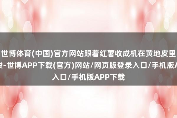 世博体育(中国)官方网站跟着红薯收成机在黄地皮里来去穿梭-世博APP下载(官方)网站/网页版登录入口/手机版APP下载