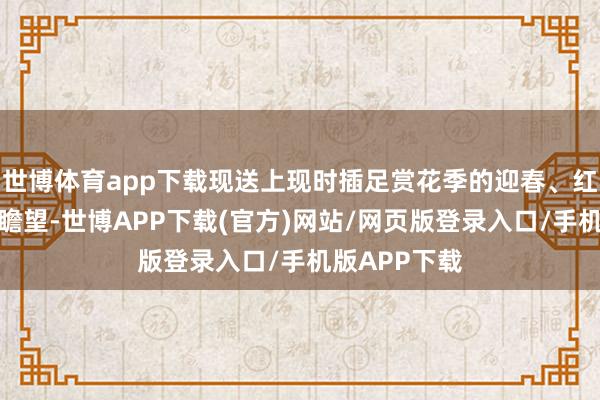 世博体育app下载现送上现时插足赏花季的迎春、红梅花等花期瞻望-世博APP下载(官方)网站/网页版登录入口/手机版APP下载