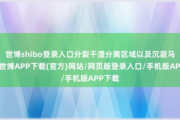 世博shibo登录入口分裂干湿分离区域以及沉寂马桶间-世博APP下载(官方)网站/网页版登录入口/手机版APP下载