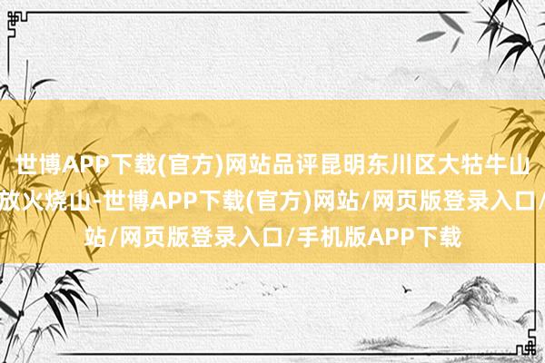 世博APP下载(官方)网站品评昆明东川区大牯牛山上有多名旅游者放火烧山-世博APP下载(官方)网站/网页版登录入口/手机版APP下载