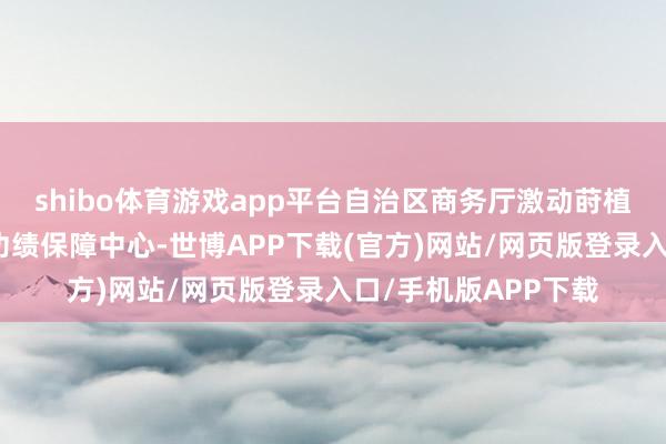 shibo体育游戏app平台自治区商务厅激动莳植广西对外经济相助功绩保障中心-世博APP下载(官方)网站/网页版登录入口/手机版APP下载