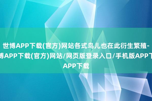 世博APP下载(官方)网站各式鸟儿也在此衍生繁殖-世博APP下载(官方)网站/网页版登录入口/手机版APP下载