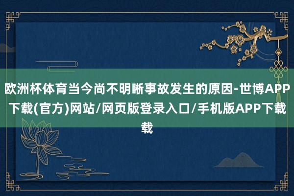欧洲杯体育当今尚不明晰事故发生的原因-世博APP下载(官方)网站/网页版登录入口/手机版APP下载