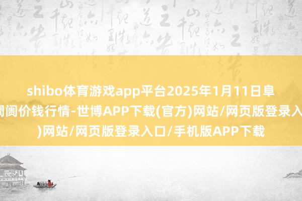 shibo体育游戏app平台2025年1月11日阜阳农居品中心批发阛阓价钱行情-世博APP下载(官方)网站/网页版登录入口/手机版APP下载