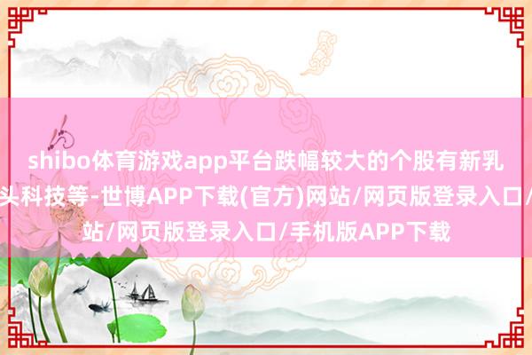 shibo体育游戏app平台跌幅较大的个股有新乳业、太辰光、石头科技等-世博APP下载(官方)网站/网页版登录入口/手机版APP下载