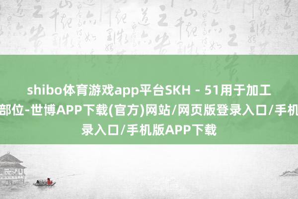 shibo体育游戏app平台SKH - 51用于加工模具的关键部位-世博APP下载(官方)网站/网页版登录入口/手机版APP下载
