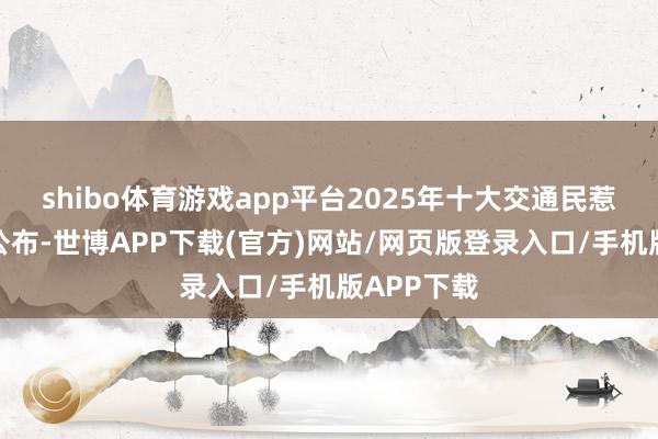 shibo体育游戏app平台2025年十大交通民惹事实边幅公布-世博APP下载(官方)网站/网页版登录入口/手机版APP下载